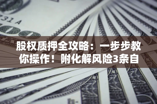 济南股权质押全攻略：一步步教你操作！附化解风险3条自救法则