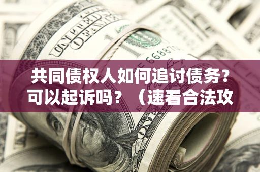 济南共同债权人如何追讨债务？可以起诉吗？（速看合法攻略）